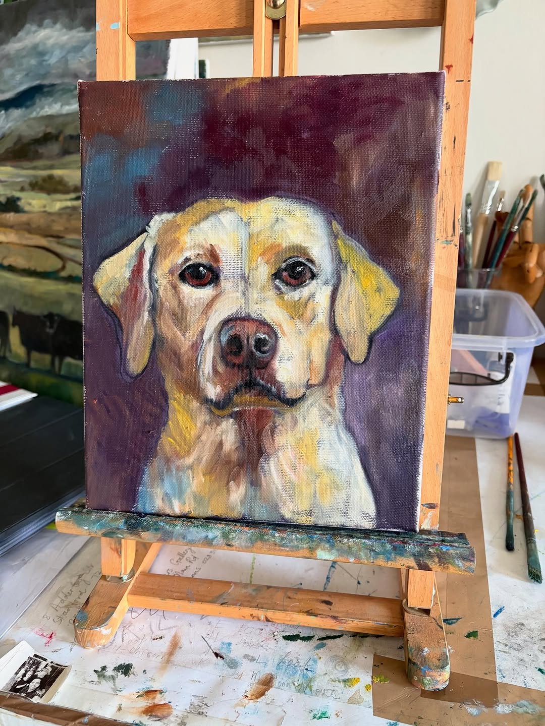 Labrador, oil on canvas, 30 x 40cm